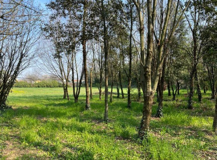 ורונה Green Woods מראה חיצוני תמונה