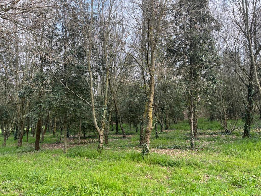 ורונה Green Woods מראה חיצוני תמונה