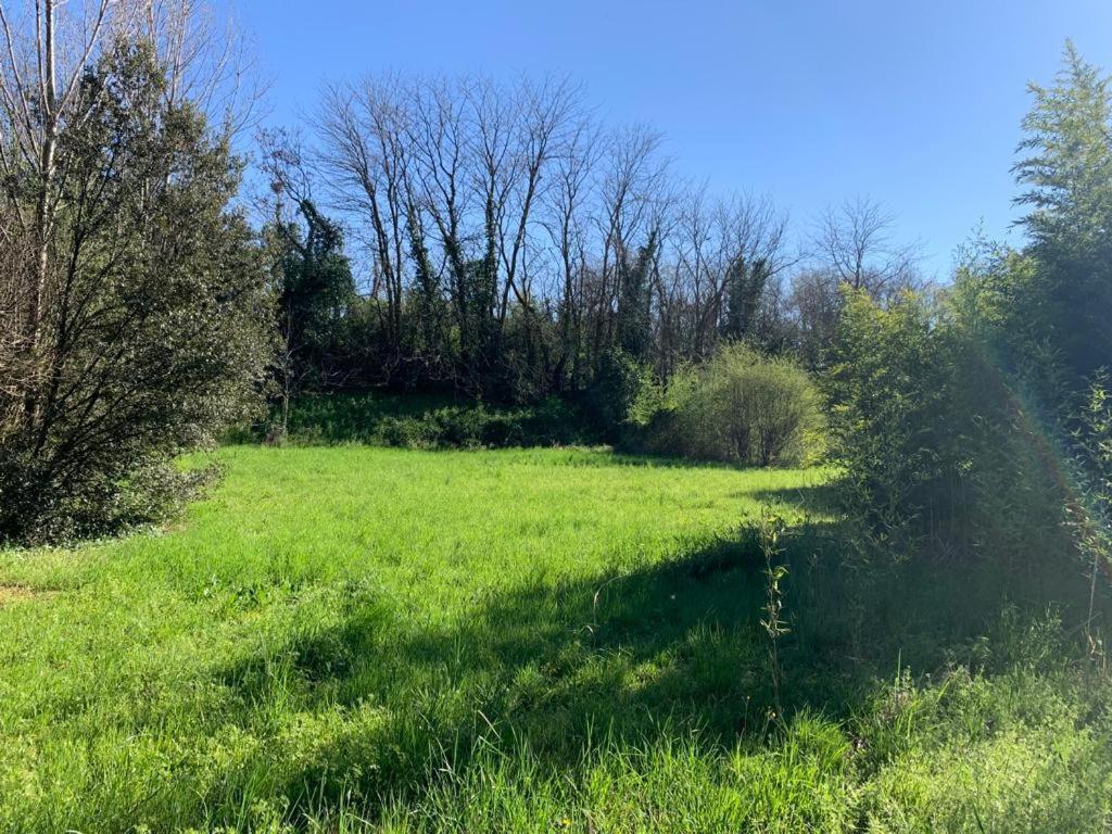 ורונה Green Woods מראה חיצוני תמונה