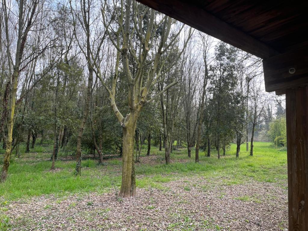 ורונה Green Woods מראה חיצוני תמונה